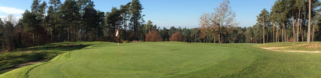 Golf Arboretum cover image