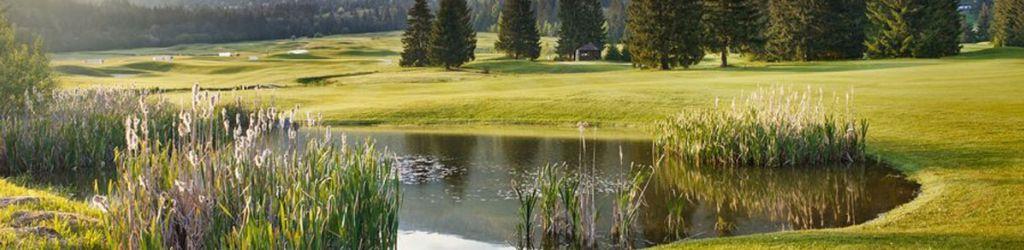 Gray Bear Golf Club Tale cover image